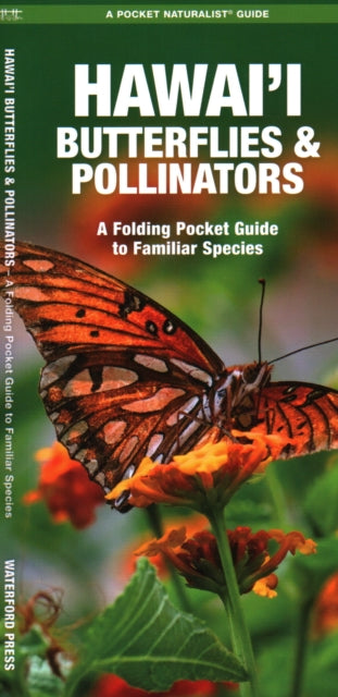 Hawai'i Butterflies and Pollinators: A Folding Pocket Guide to Familiar Species