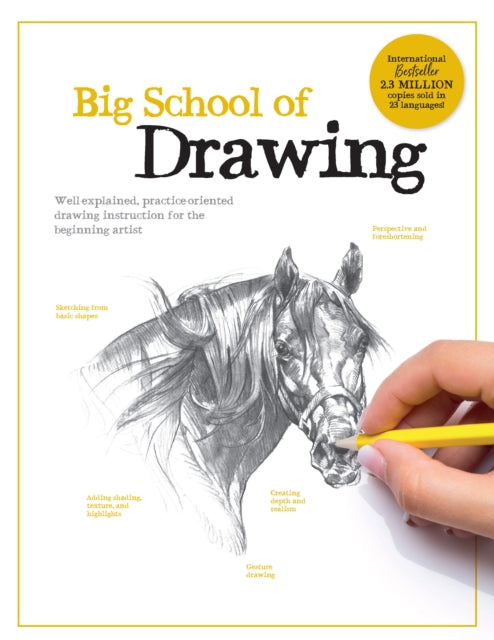 Big School of Drawing: Well-explained, practice-oriented drawing instruction for the beginning artist