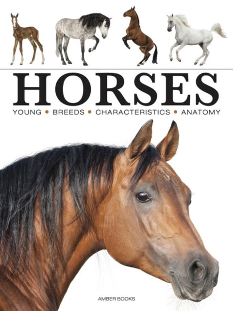 Horses