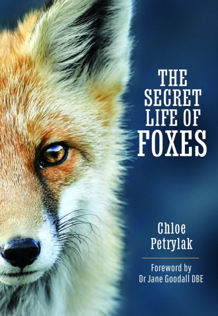 The Secret Life of Foxes