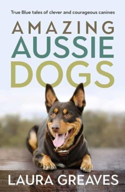 Amazing Aussie Dogs