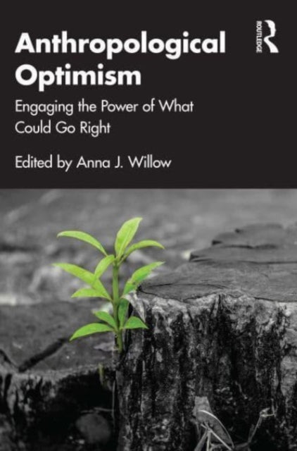 Anthropological Optimism: Engaging the Power of What Could Go Right