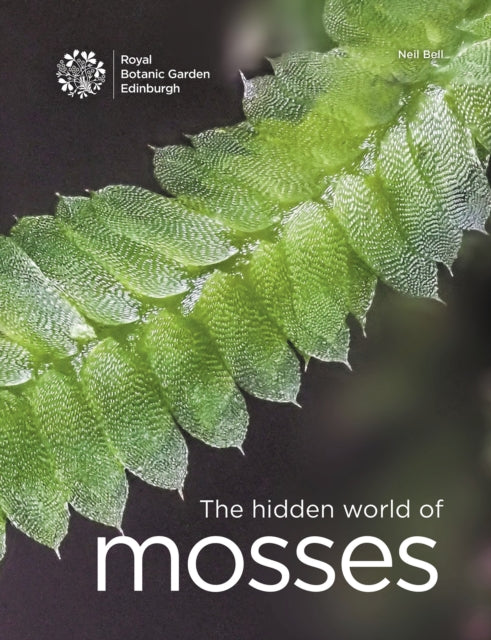 The Hidden World of Mosses