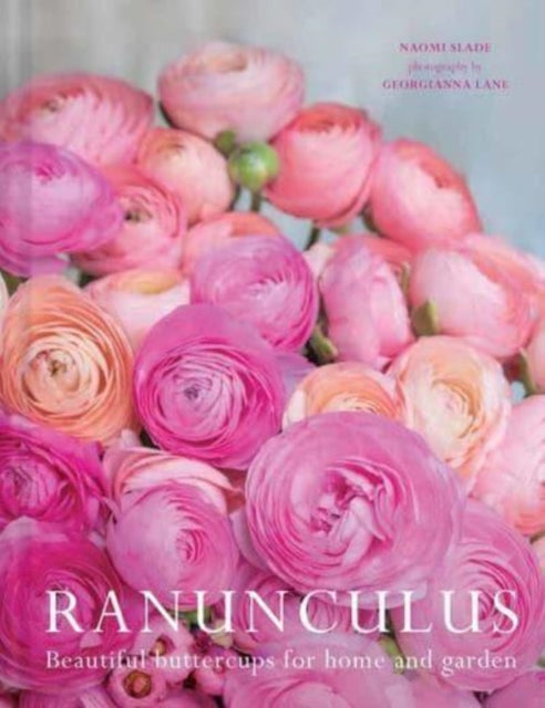 Ranuculus: Beautiful Varieties for Home and Garden