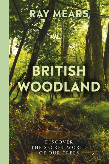 British Woodland: How to explore the secret world of our trees