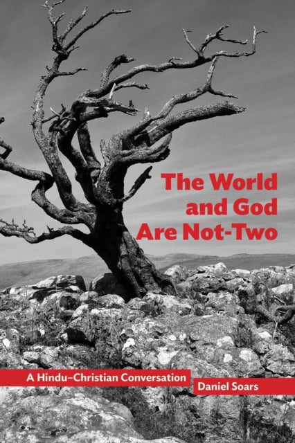 The World and God Are Not-Two: A Hindu-Christian Conversation