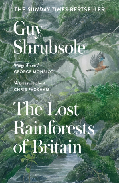 The Lost Rainforests of Britain