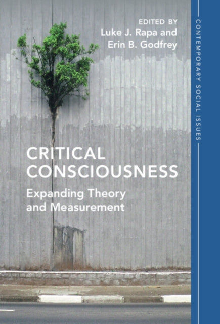 Critical Consciousness: Expanding Theory and Measurement