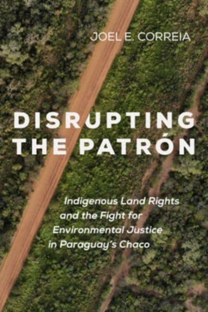 Disrupting the Patron: Indigenous Land Rights and the Fight for Environmental Justice in Paraguay's Chaco