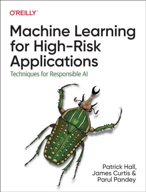 Machine Learning for High-Risk Applications: Approaches to Responsible AI