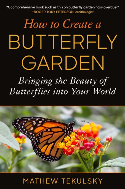 How to Create a Butterfly Garden: Bringing the Beauty of Butterflies into Your World