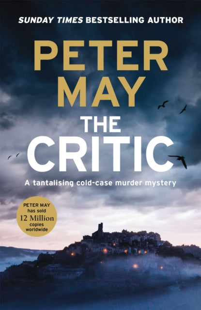 The Critic: A tantalising cold-case murder mystery (The Enzo Files Book 2)