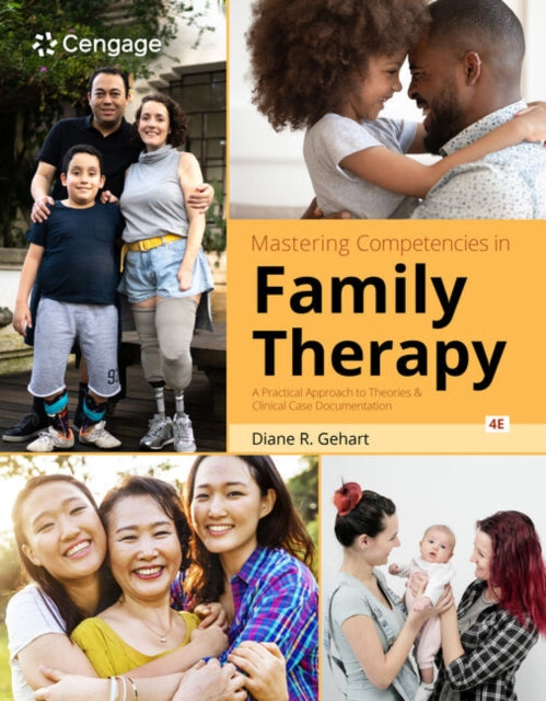 Mastering Competencies in Family Therapy: A Practical Approach to Theory and Clinical Case Documentation