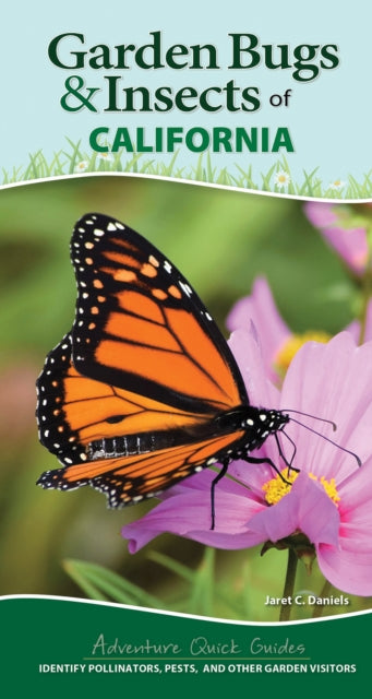 Garden Bugs & Insects of California: Identify Pollinators, Pests, and Other Garden Visitors