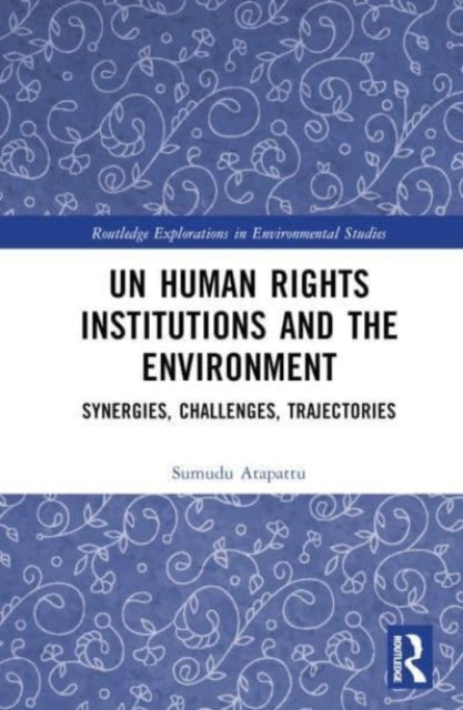 UN Human Rights Institutions and the Environment: Synergies, Challenges, Trajectories