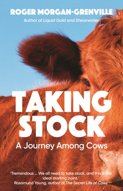 Taking Stock: A Journey Among Cows