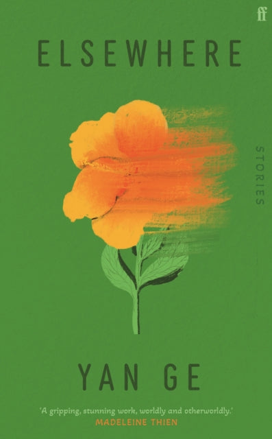 Elsewhere: 'Wonderful writing' Sarah Hall