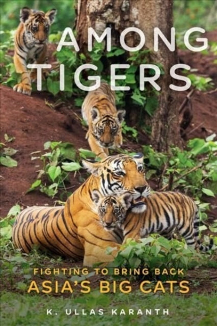 Among Tigers: Fighting to Bring Back Asia's Big Cats