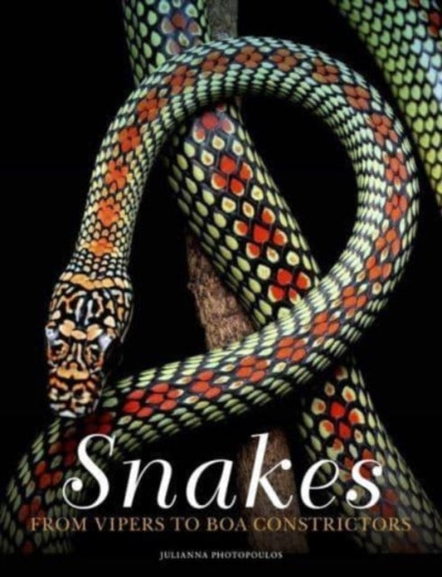 Snakes: From Vipers to Boa Constrictors