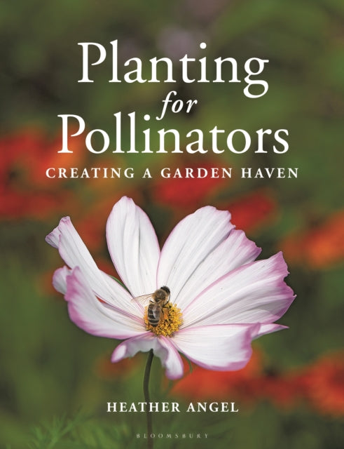 Planting for Pollinators: Creating a Garden Haven