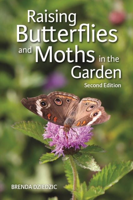 Raising Butterflies and Moths in the Garden