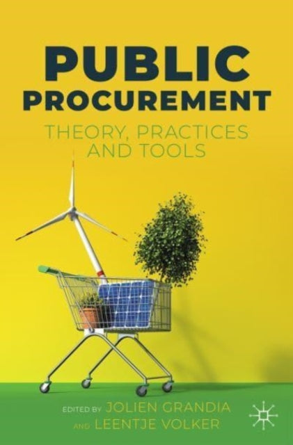 Public Procurement: Theory, Practices and Tools