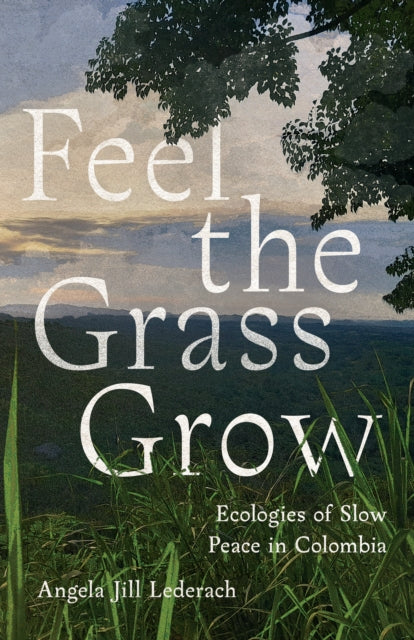 Feel the Grass Grow: Ecologies of Slow Peace in Colombia