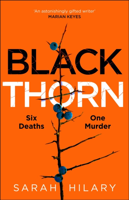 Black Thorn: A haunting and captivating multi-layered thriller about families and their secrets and lies