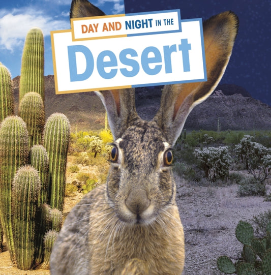 Day and Night in the Desert