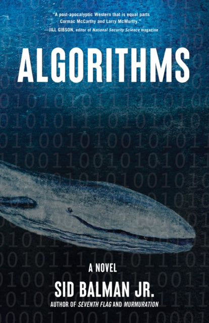 Algorithms: A Novel