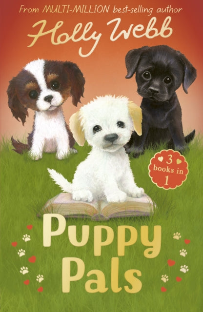 Puppy Pals: The Story Puppy, The Seaside Puppy, Monty the Sad Puppy
