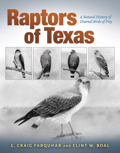 Raptors of Texas: A Natural History of Diurnal Birds of Prey