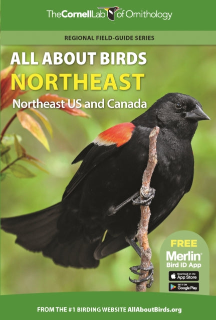 All About Birds Northeast: Northeast US and Canada