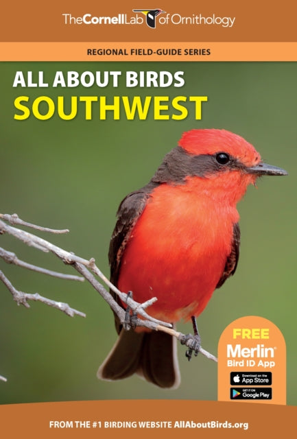 All About Birds Southwest