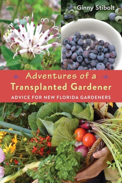 Adventures of a Transplanted Gardener: Advice for New Florida Gardeners