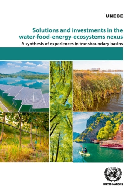 Solutions and investments in the water-food-energy-ecosystems nexus: a synthesis of experiences in transboundary basins