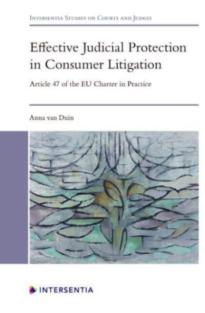 Effective Judicial Protection in Consumer Litigation: Article 47 of the EU Charter in Practice