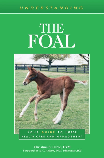 Understanding the Foal: Your Guide to Horse Health Care and Management