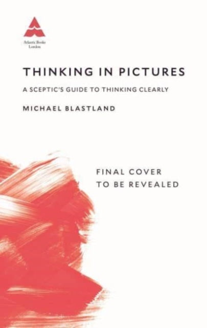 Thinking in Pictures: Adventures in Trying to be Smart