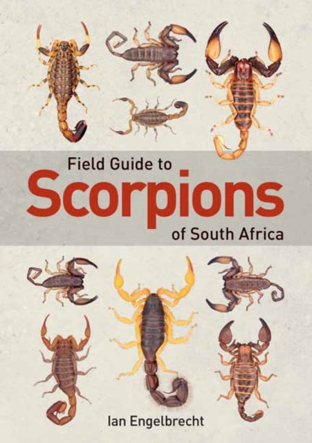 Field Guide to Scorpions of South Africa