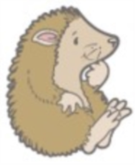 Hedgehog Character Pin Badge
