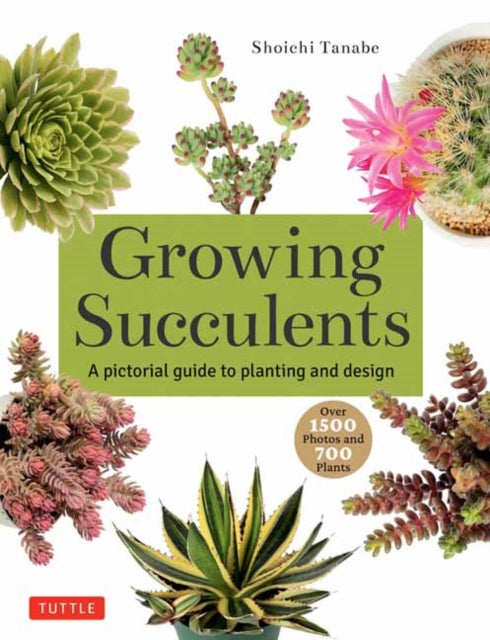 Growing Succulents: A Pictorial Guide to Planting and Design (Over 1,500 photos and 700 plants)