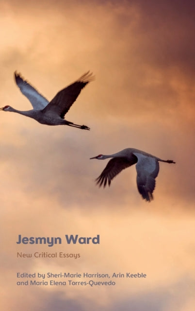 Jesmyn Ward: New Critical Essays