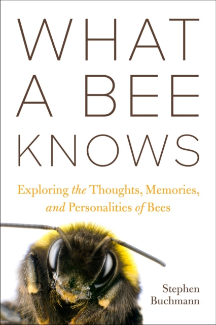 What a Bee Knows: Exploring the Thoughts, Memories, and Personalities of Bees