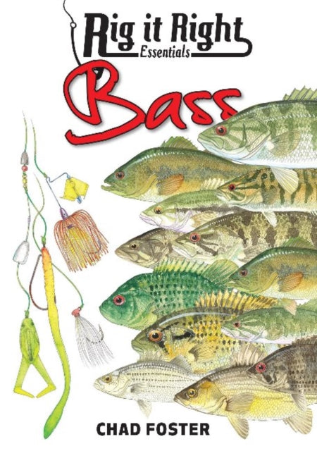 Rig It Right: Essentials Bass