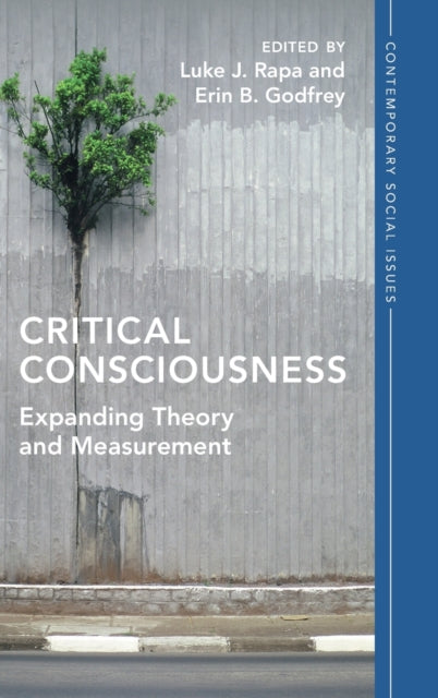 Critical Consciousness: Expanding Theory and Measurement