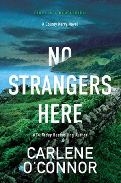 No Strangers Here: A Riveting Dark Irish Mystery