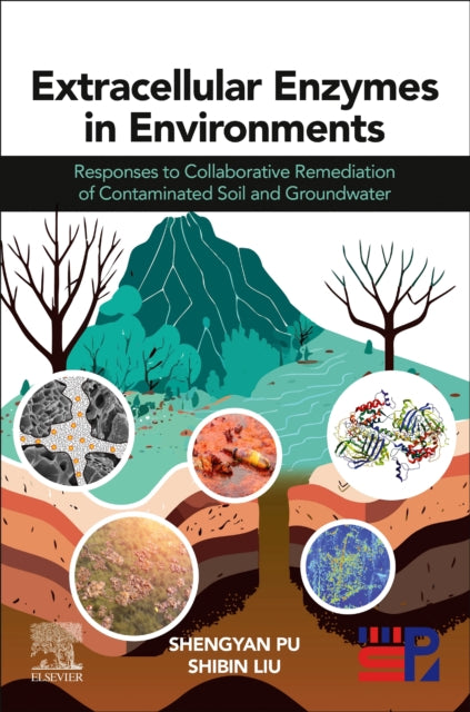 Extracellular Enzymes in Environments: Responses to Collaborative Remediation of Contaminated Soil and Groundwater