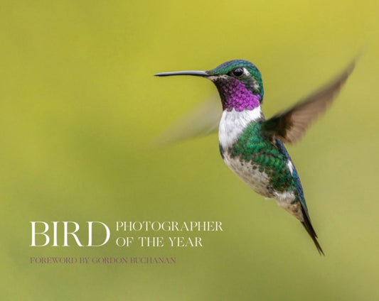 Bird Photographer of the Year