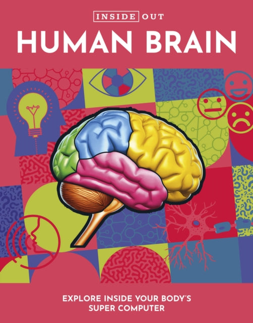 Inside Out Human Brain: Explore Inside Your Body's Super Computer